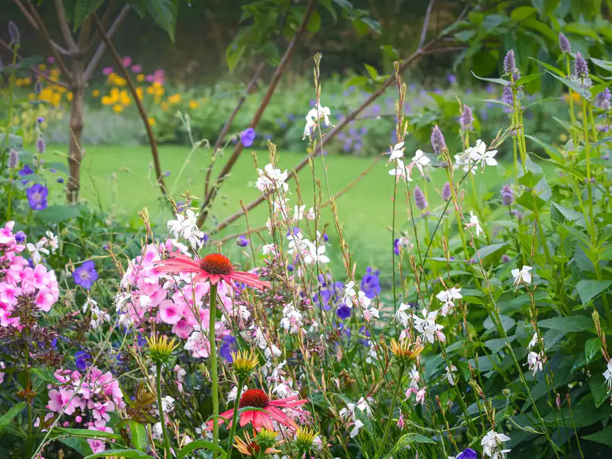 Kleurrijke beplanting in een tuin van Knopp